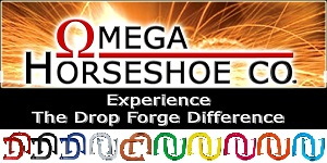 https://www.horseshoepitching.com/wp-content/uploads/2025/08/OmegaHorseshoe300-150.jpg